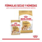 Royal Canin Adult Pomeranian pienso para perros, , large image number null